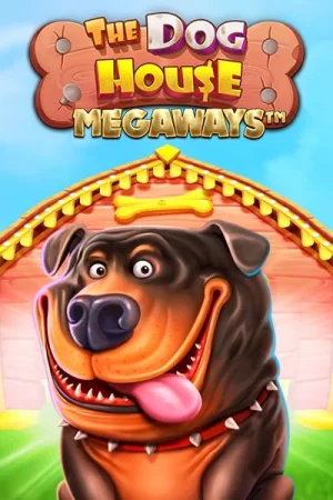 The Dog House Megaways, testat pe platforma Swiper casino